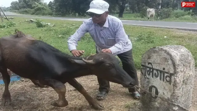 42 साल की सरकारी सेवा के बाद भी जारी है पशु सेवा, सेवानिवृत्ति के बाद घर-घर पहुंचकर कर रहे इलाज