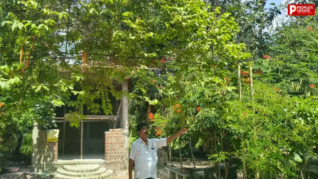 सीहोर के राजेंद्र ने 17 साल में मुक्तिधाम को बनाया हराभरा उपवन, मृत्युभोज की जगह मुक्तिधाम को दिए एक लाख रुपए