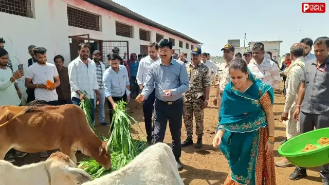 गुना में कलेक्टर ने गौशाला, स्कूल और पीडीएस दुकान का किया निरीक्षण, व्यवस्थाओं में सुधार के दिए निर्देश