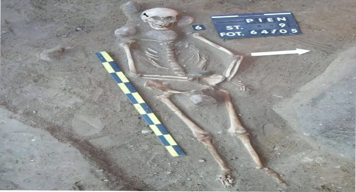 /img/119/1774506453653