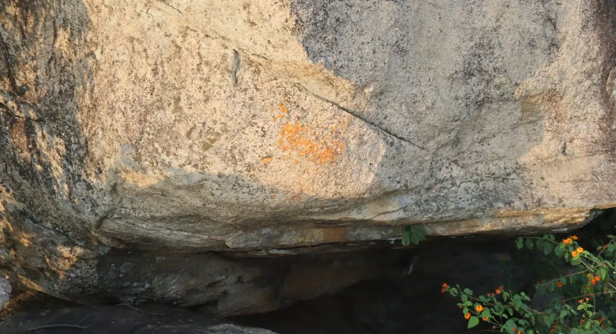 6000 साल पुरानी गुफा में मिले आदिमानव के रहस्यमयी शैलचित्र