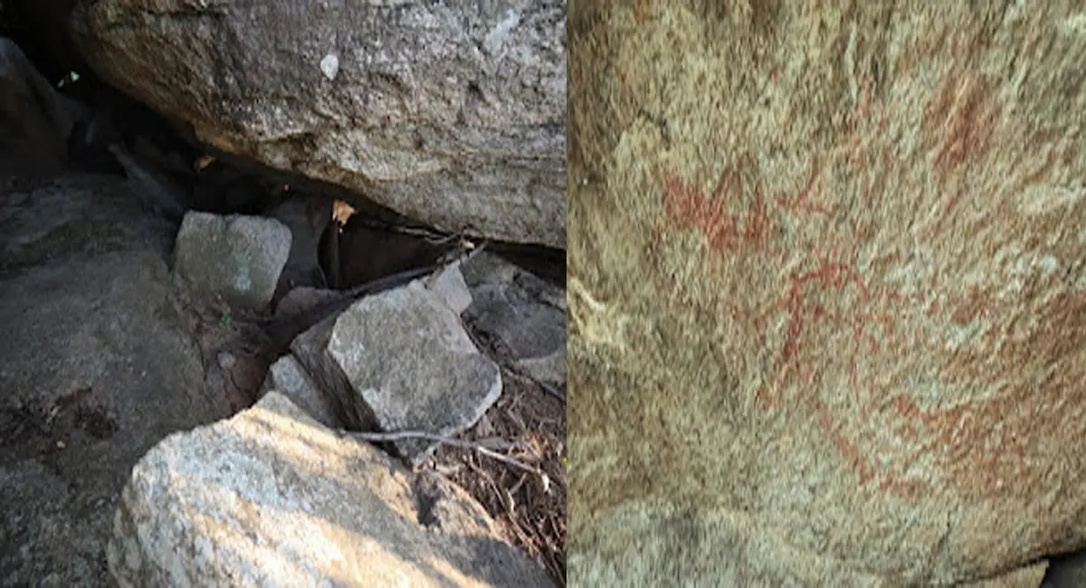 /img/119/1775293361869