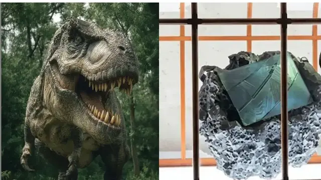 6 करोड़ साल पुराने डायनासोर से तैयार, फैशन वर्ल्ड में मचा तहलका