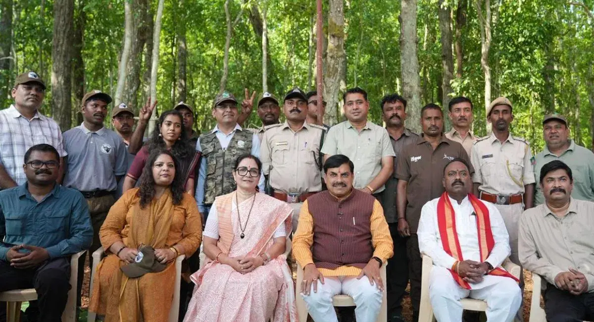 /img/119/1777370233713