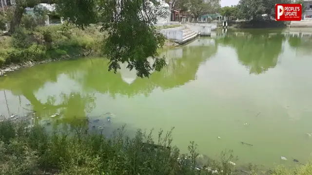 तालाब और नदी ने छीनी चार जिंदगियां, एक ही दिन में चार बच्चों की मौत से दहला हमीरपुर