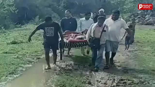 सड़क नहीं, कीचड़ का रास्ता... बुजुर्ग महिला को खाट पर लिटाकर 1.5 किमी पैदल अस्पताल ले गए ग्रामीण