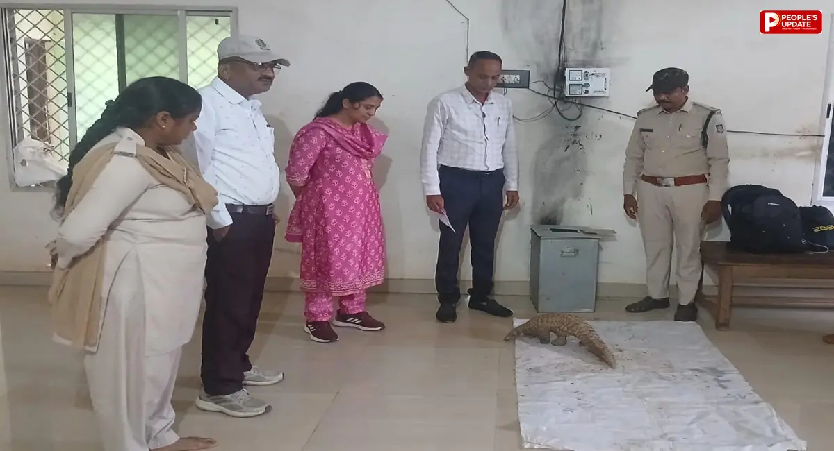 बालाघाट में नाली में फंसा मिला दुर्लभ पेंगोलिन, रेस्क्यू के बाद वन विभाग की कार्रवाई पर उठे सवाल