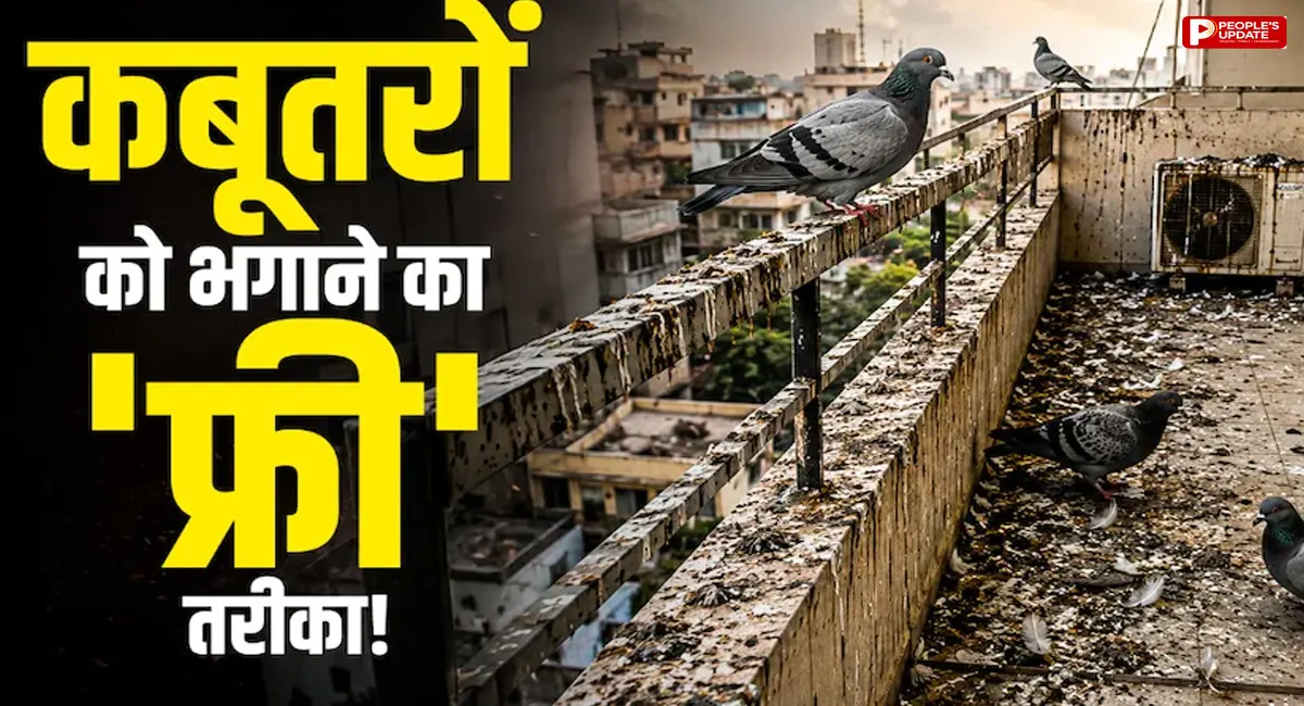 बिना ₹1 खर्च किए घर के इस 'कबाड़' से भगाएं दूर