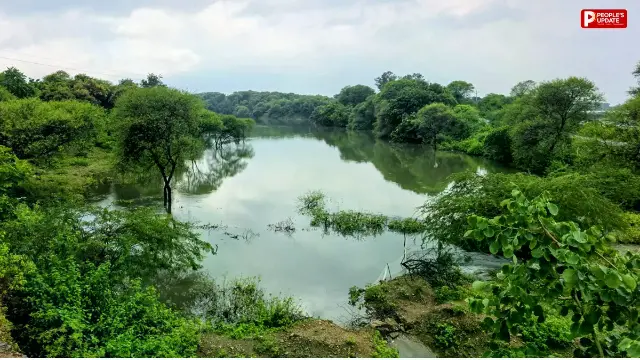 दमोह की बंद खदानों को मिल सकता है नया स्वरूप, ईको-पार्क और हरित क्षेत्र विकसित करने की संभावना