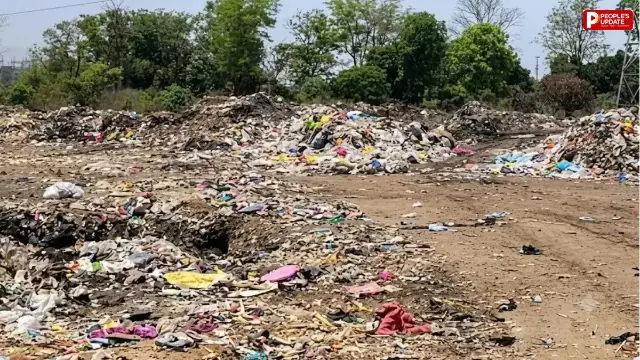 इटारसी के जिलवानी डंपिंग यार्ड में 1.72 करोड़ के 'कचरा घोटाले' पर NGT का हंटर, कलेक्टर और नपा परिषद को नोटिस