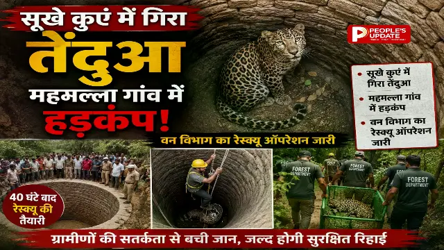 धमतरी में सूखे कुएं में गिरा तेंदुआ, महमल्ला गांव में हड़कंप, वन विभाग का रेस्क्यू ऑपरेशन जारी