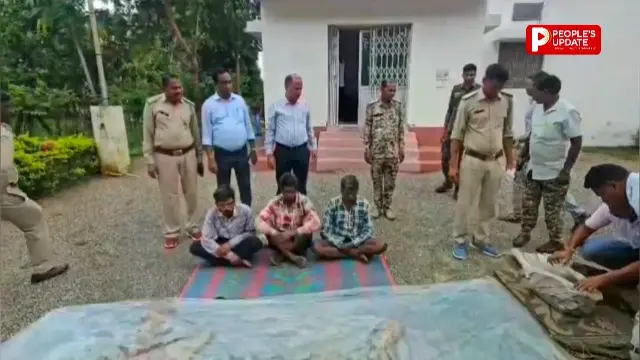 सूरजपुर में बाघ की खाल की तस्करी का भंडाफोड़: खरीदार बनकर वन विभाग ने दबोचे 3 तस्कर, हथियार भी जब्त