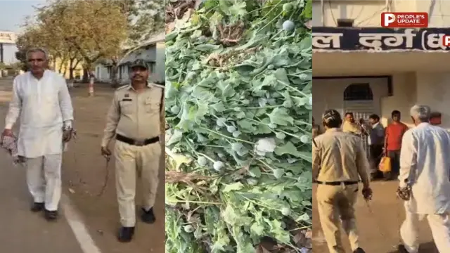 मक्के की फसल में छिपा था अफीम का साम्राज्य,5.609 एकड़ खेती मामले में 939 पन्नों की चार्जशीट कोर्ट में दाखिल