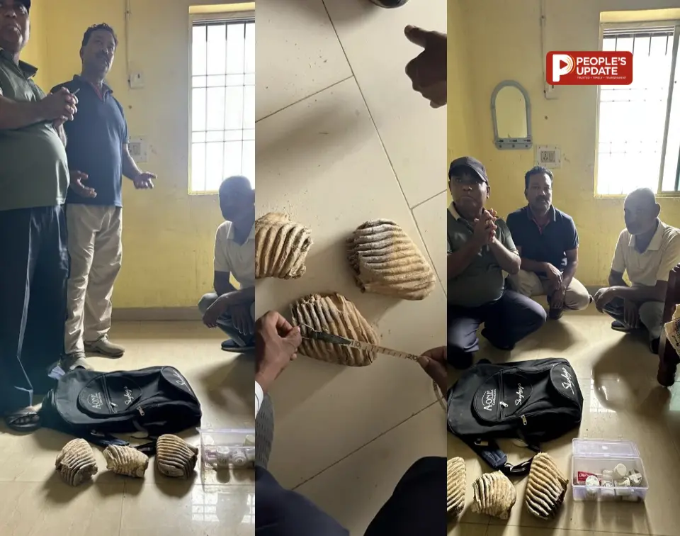 बलरामपुर में हाथी दांत तस्करी पर विभाग और WCCB की बड़ी कार्रवाई : धर्मशाला से 3 आरोपी गिरफ्तार