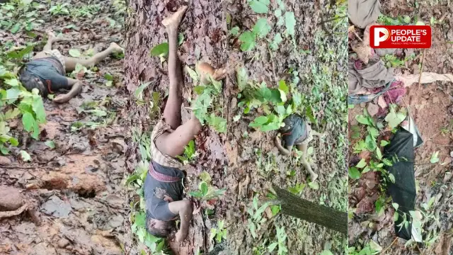 सूरजपुर में हाथी का कहर,ग्रामीण की कुचलकर दर्दनाक मौत, जंगल में मिला शव