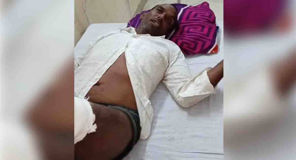 उमरिया - बांधवगढ़ टाइगर रिजर्व के मानपुर बफर में बाघ का हमला, किसान गंभीर रूप से घायल