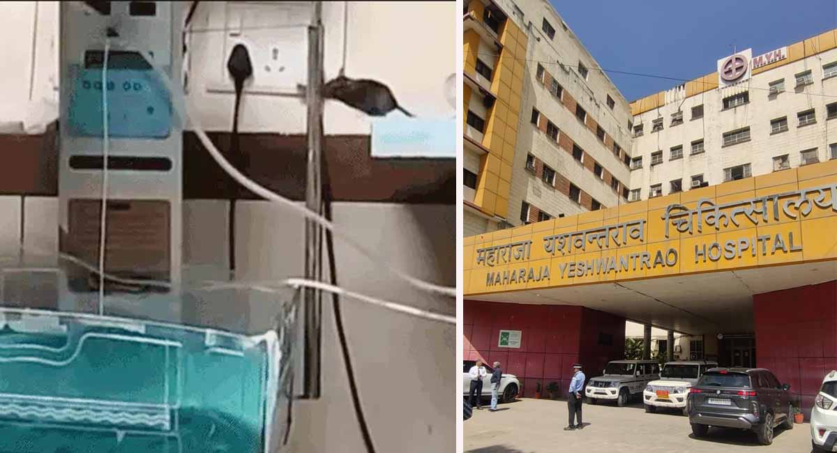 इंदौर के MYH में दूसरे नवजात की भी मौत, NICU में चूहे ने कुतरा था, दो दिन में दो बच्चों की गई जान, जांच के लिए बनी हाईलेवल कमेटी