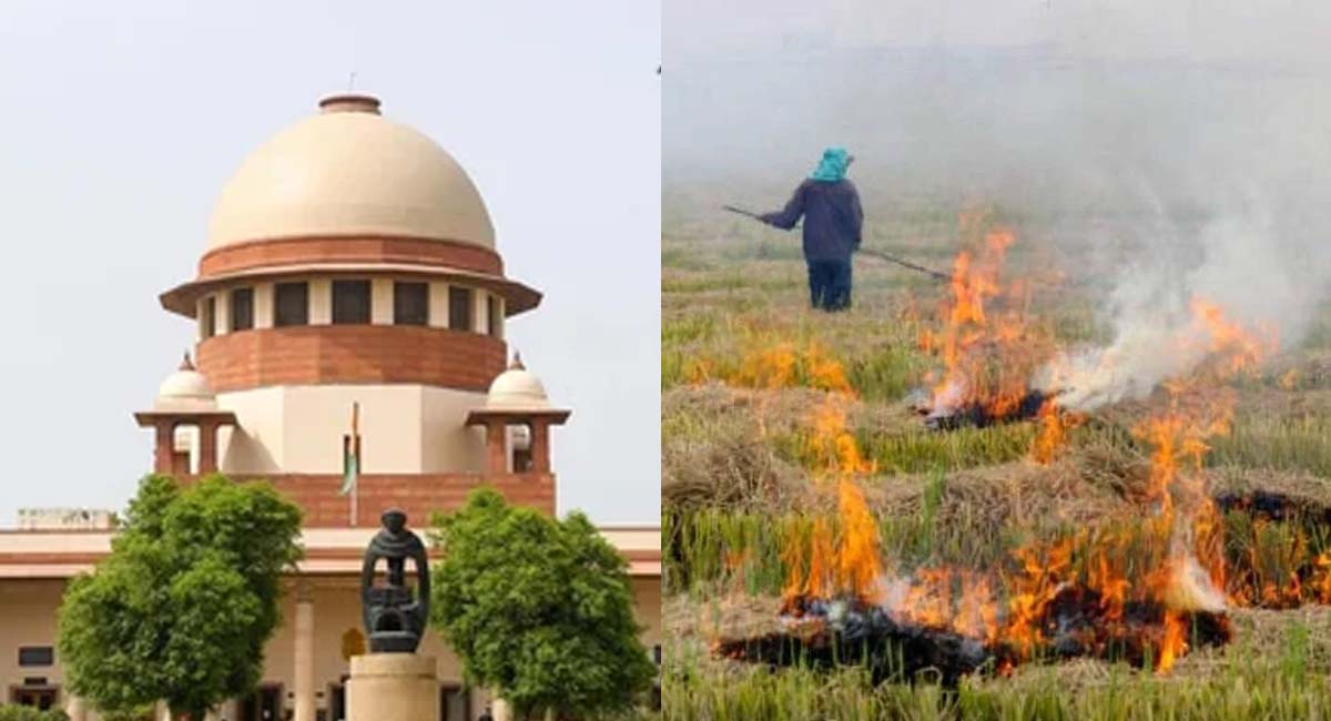 सुप्रीम कोर्ट का कड़ा रुख, बोले- पराली जलाने वाले किसानों की गिरफ्तारी क्यों नहीं...