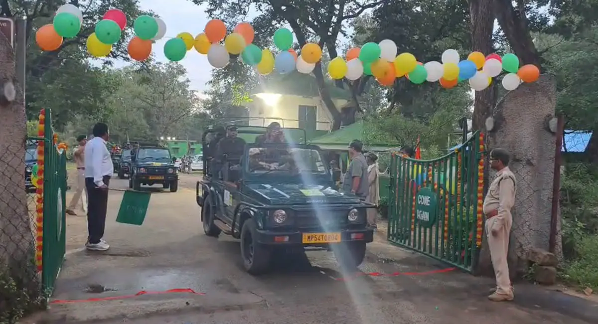 बांधवगढ़ टाइगर रिजर्व पर्यटकों के लिए खुला, पूजा-अर्चना और मिठाई के साथ हुआ स्वागत, जंगल सफारी के लिए टूरिस्ट में दिखा उत्साह
