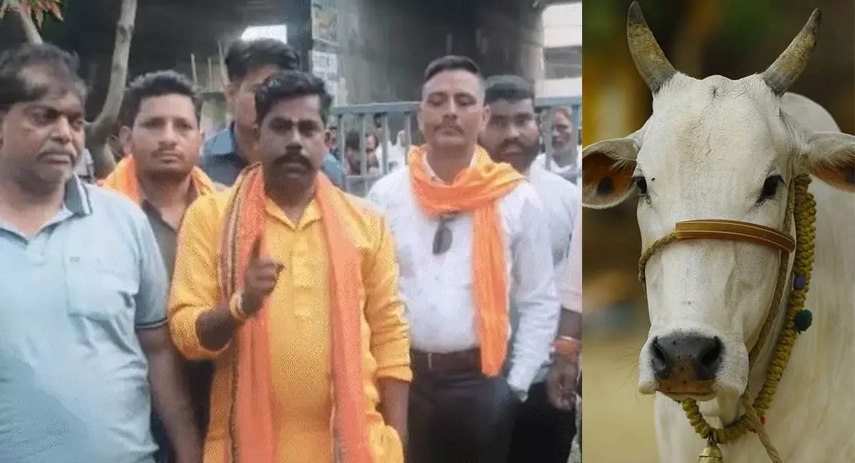 भोपाल में बढ़ रही गौ हत्या और तस्करी की घटनाएं, बजरंग दल करेगी 27 थानों का घेराव, मुख्यमंत्री के नाम ज्ञापन सौंपने की तैयारी