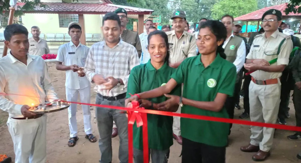 बारिश थमते ही खुला सतपुड़ा टाइगर रिजर्व का मढ़ई कोर जोन, पहली सफारी में पर्यटकों ने किए बाघ के दीदार