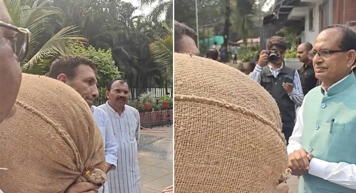 शिवराज सिंह चौहान के घर के बाहर जीतू पटवारी का प्रदर्शन, सड़क पर गेहूं बिखेरा, पुलिस से झड़प, फिर मांगी माफी