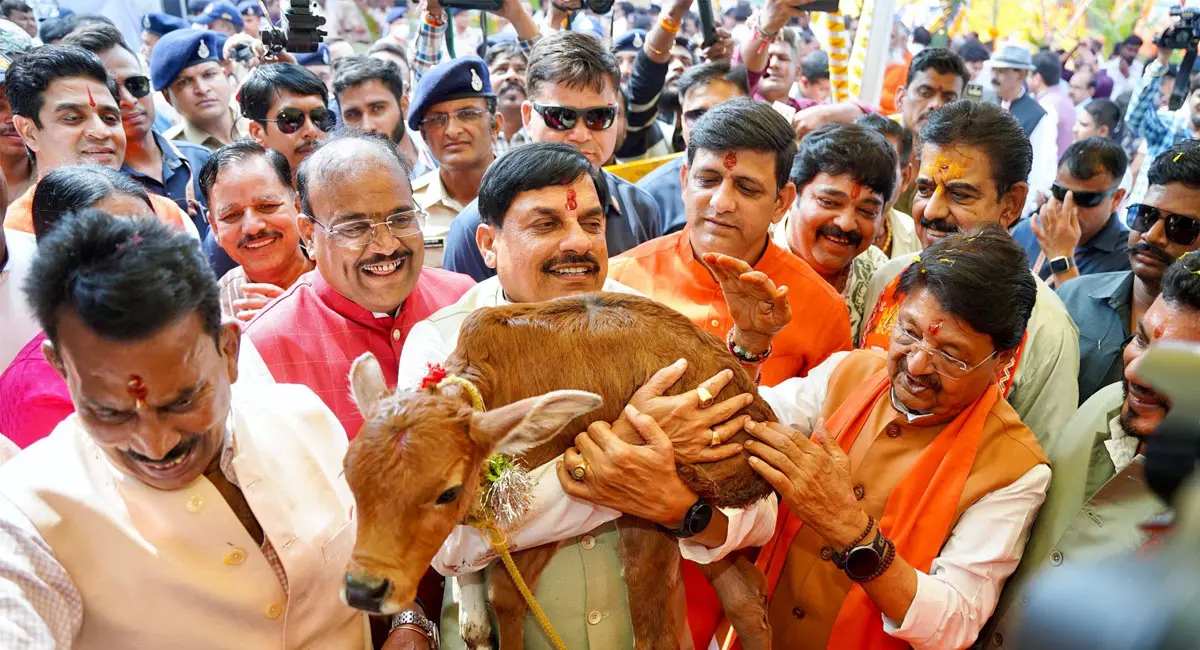 इंदौर के हातोद में गोवर्धन पूजा, सीएम ने बछड़े को गोद में उठाकर किया दुलार, बोले- प्रदेश की गौशालाएं बनेंगी 'गौ मंदिर'