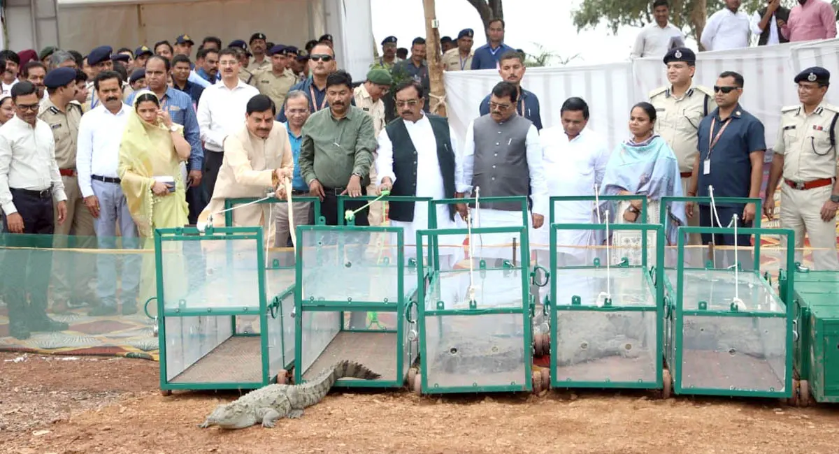 सीएम डॉ. मोहन यादव बोले- ‘मां नर्मदा के वाहन को उसके घर में बसाने का संकल्प पूरा किया’