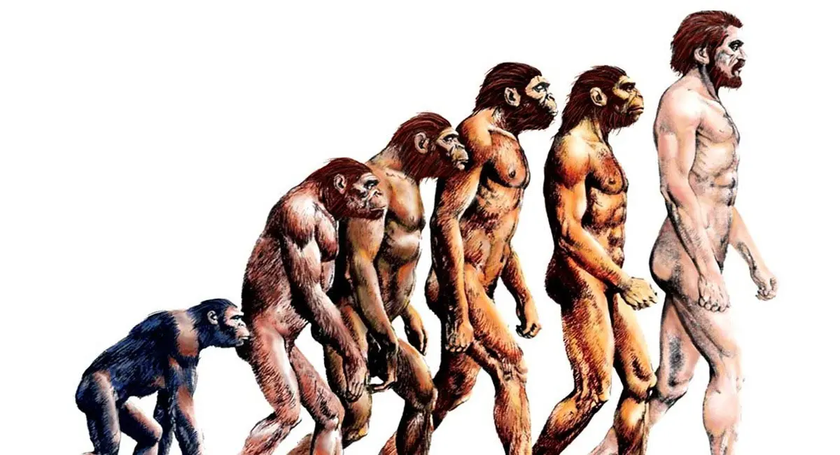 इंसान कैसे बना? जानें जीवन की शुरुआत से आधुनिक मानव तक का सफर