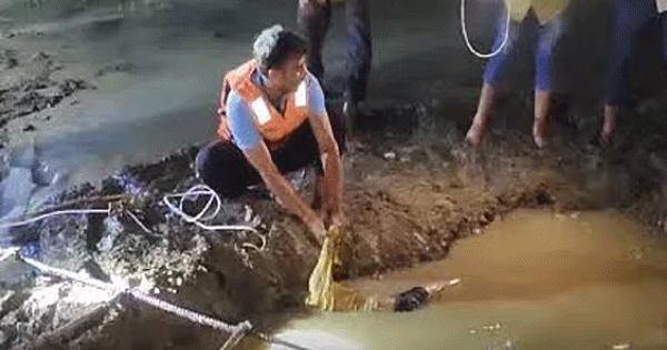 सतना : दो सहेलियों की बोरवेल के गड्‌ढे में डूबकर मौत, पुलिस और SDRF ने निकाले दोनों शव, देर रात तक चला था रेस्क्यू