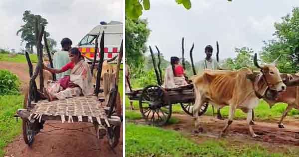 गुना : बैलगाड़ी में प्रसूता को लाना पड़ा, कच्ची सड़क होने से गांव तक नहीं पहुंच पाई एम्बुलेंस, महिला की घर पर हुई डिलीवरी