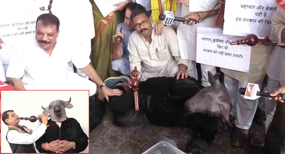 MP विधानसभा : सरकार को जगाने ‘भैंस’ बनी कांग्रेस, विधानसभा में बीन बजाकर किया अनोखा विरोध-प्रदर्शन