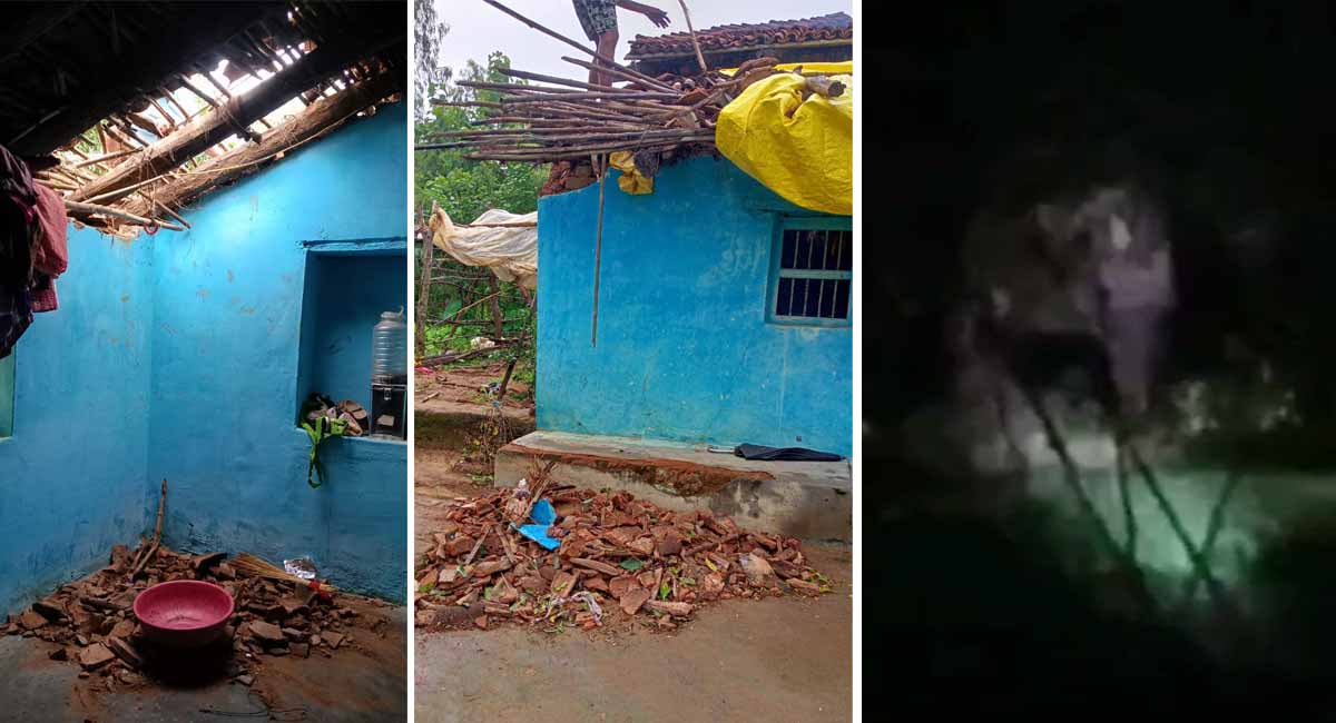 उमरिया : सरपंच के घर में घुसे जंगली हाथी, ग्रामीणों ने शोर मचाकर बचाई जान, दहशत में रहवासी