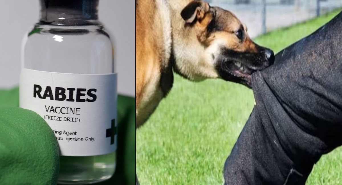 Anti-Rabies Vaccine : भारत में एंटी-रेबीज वैक्सीन पहले से क्यों नहीं दी जाती? विशेषज्ञों ने बताया सच