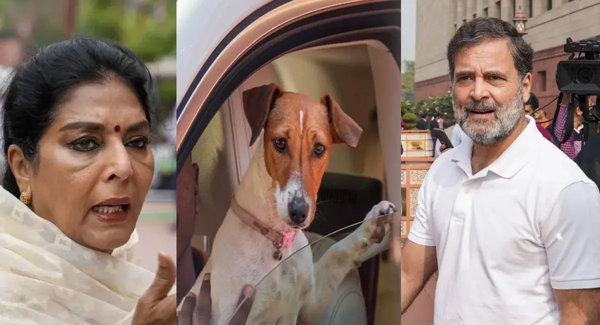 क्यों राजनीति? राहुल गांधी का तंज, बोले- जो काटते हैं, वो अंदर बैठे हैं