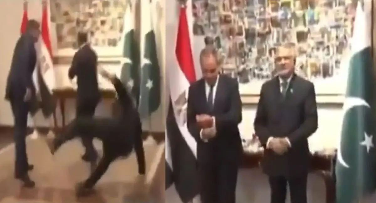 इशाक डार का वीडियो वायरल, डिप्लोमैटिक मीटिंग से पहले हादसा