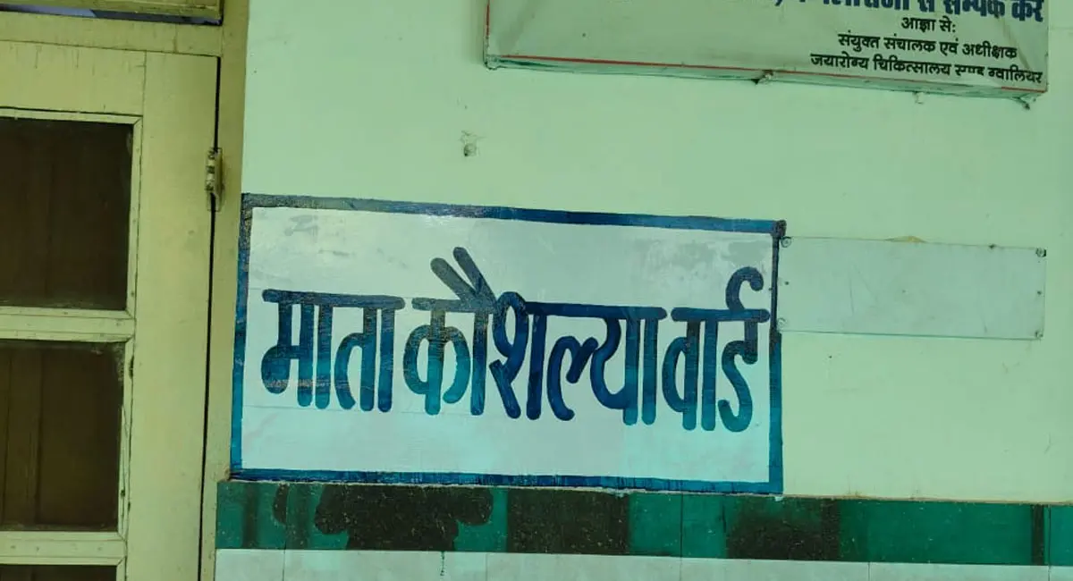 /img/15/1774879466247