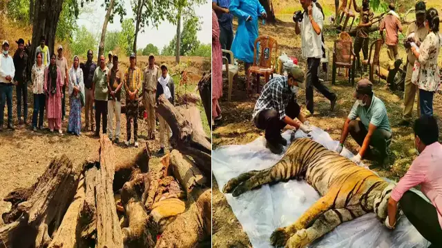 फेफड़ों में संक्रमण की पुष्टि, शरीर पर मिले चोट के निशान