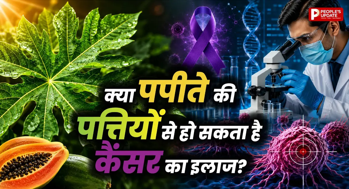 क्या पपीते की पत्तियां कैंसर का इलाज हैं? टाटा मेमोरियल की रिसर्च पर उठे सवाल, जानिए पूरी सच्चाई