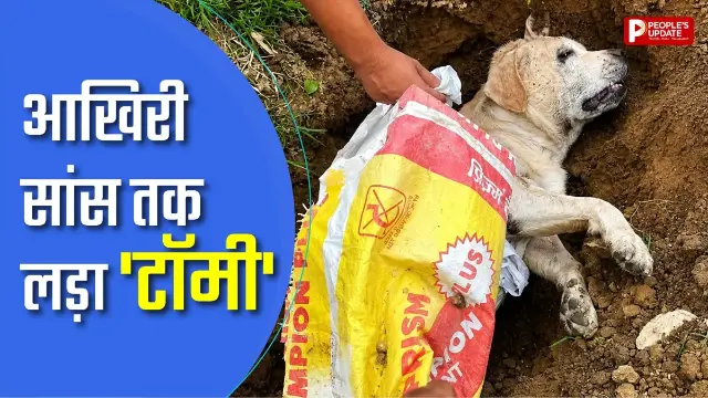 आखिरी सांस तक लड़ता रहा 'टॉमी', कोबरा को मारकर बचाई मालिक के परिवार की जान
