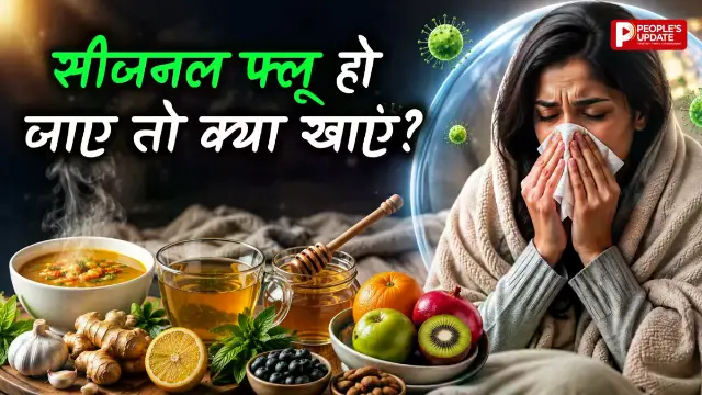 सीजनल फ्लू से हैं परेशान? डाइट में शामिल करें ये 6 चीजें, जल्दी मिलेगी राहत