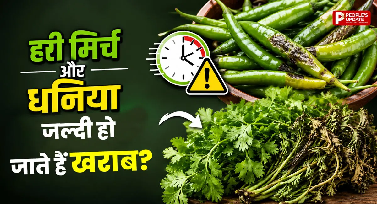 कुछ दिनों में सूख जाते हैं हरा धनिया और मिर्च? एक महीने तक फ्रेश रखने के लिए अपनाएं ये आसान टिप्स