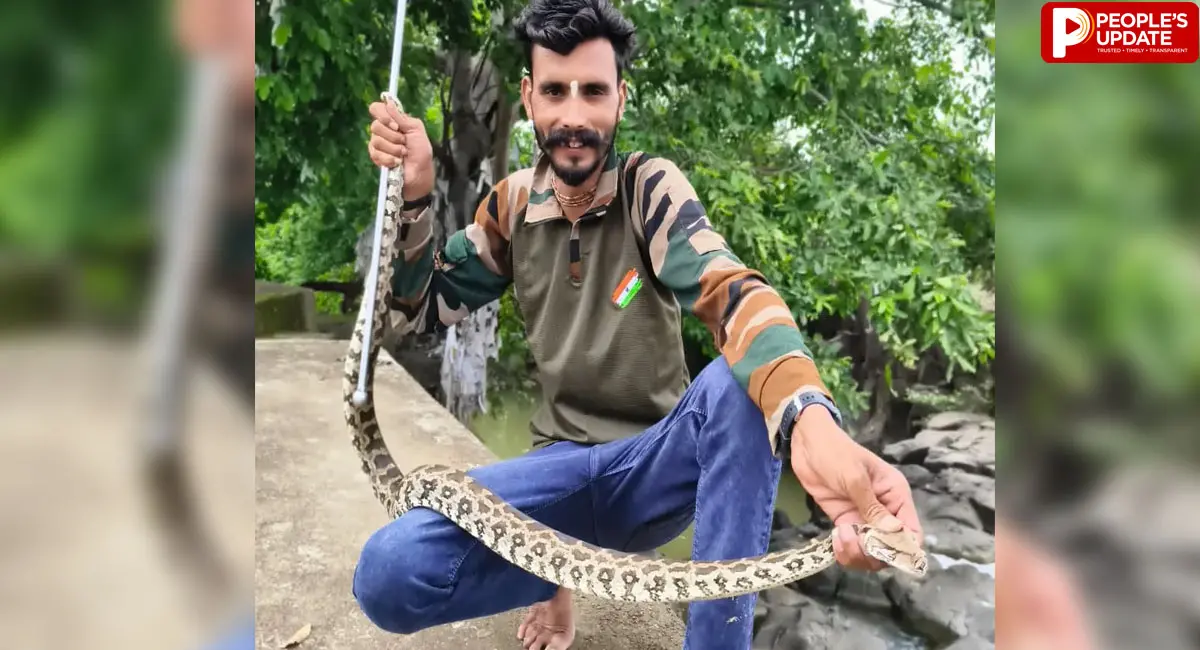 गवरी फार्म हाउस में अचानक दिखा विशाल अजगर, बकरी और गायों के बीच मंडराया खतरा