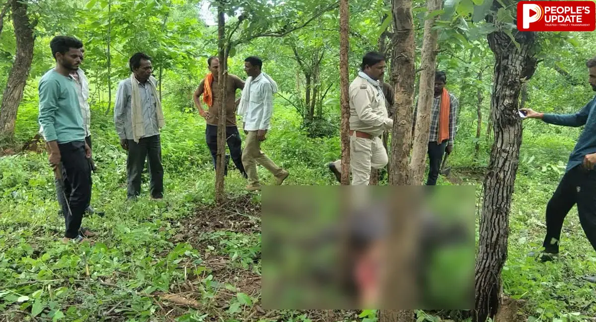 दमोह के जंगल में बाघ ने किया भैंस का शिकार, आसपास के गांवों में दहशत