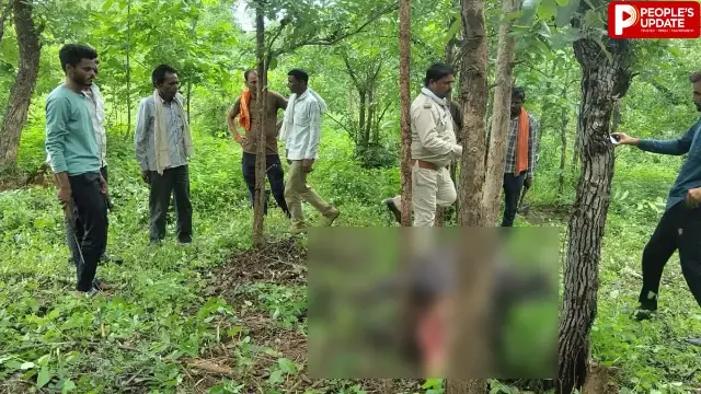दमोह के जंगल में बाघ ने किया भैंस का शिकार, आसपास के गांवों में दहशत