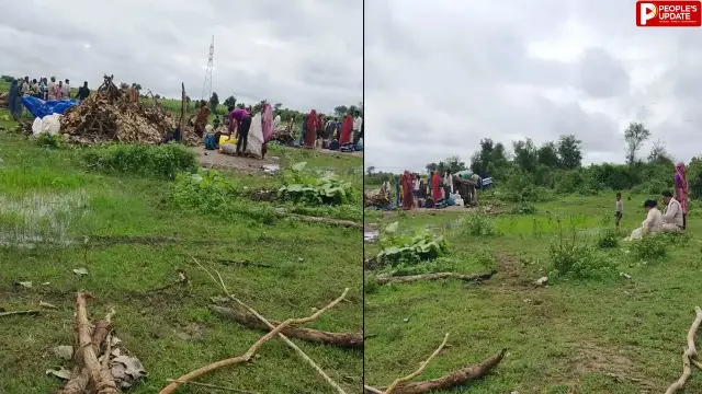 दमोह में वन भूमि से हटाई गई अस्थाई झोपड़ी, वन विभाग ने कराया अतिक्रमण मुक्त