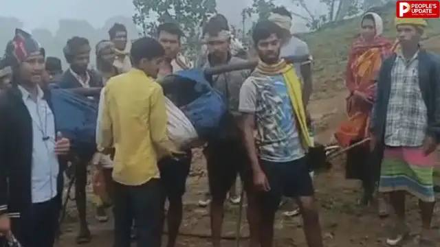 छिंदवाड़ा में ‘विकास’ की दर्दनाक तस्वीर, 8 KM डोली में गर्भवती... नवजात की मौत