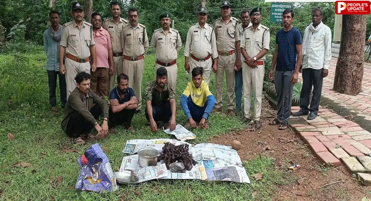सांभर का मांस पकाते पकड़े गए 4 आरोपी, सोहागपुर में वन विभाग की बड़ी कार्रवाई