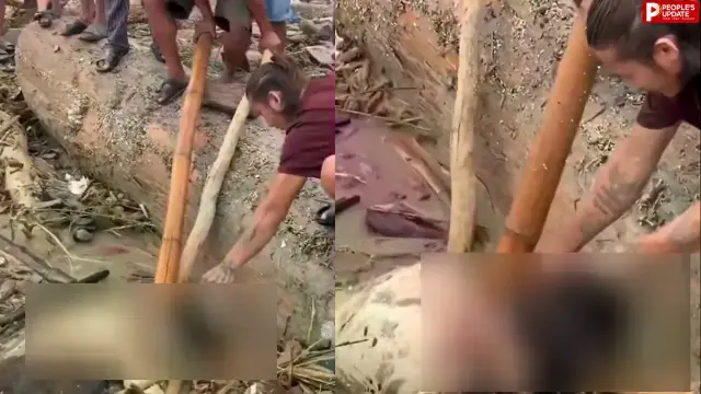 नेपाल बाढ़ में इंसानियत शर्मसार, महिला के शव से सोने की बालियां चुराने का वीडियो वायरल