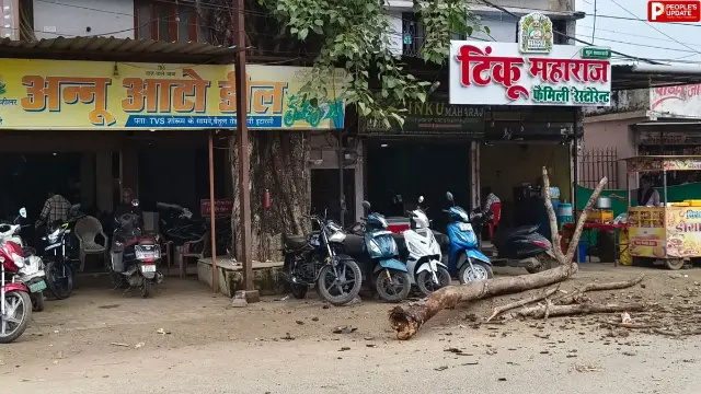 इटारसी में बड़ा हादसा टला! सड़क पर भरभराकर गिरी पीपल की भारी डाल, बाइक क्षतिग्रस्त